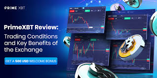 Mastering the Market Live Trading PrimeXBT Mastering the Market Live Trading PrimeXBT